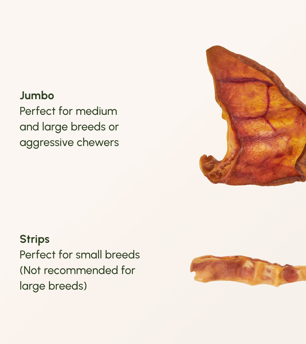 Pig Ear Strips