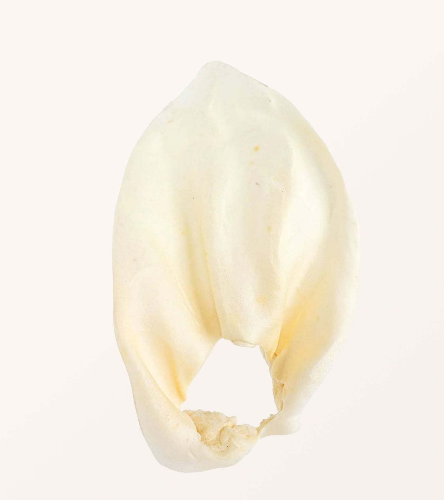 Cow Ears