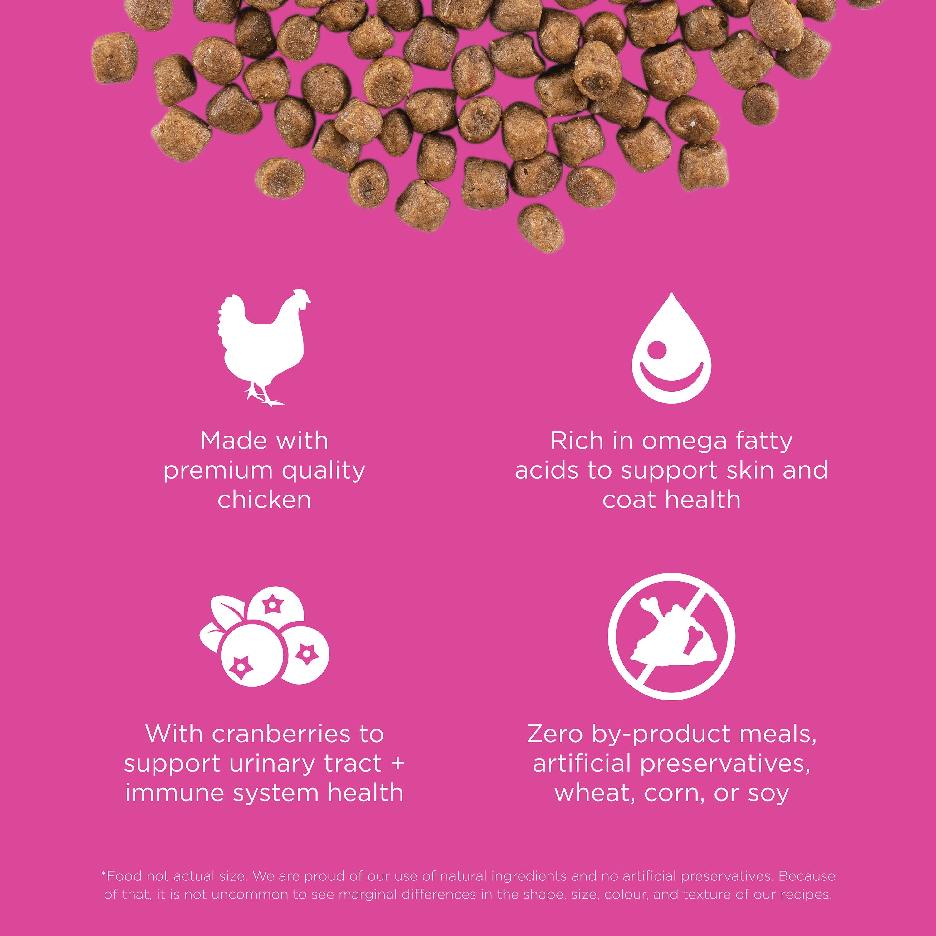 Go! Skin + Coat Care Chicken Recipe With Grains for Cats