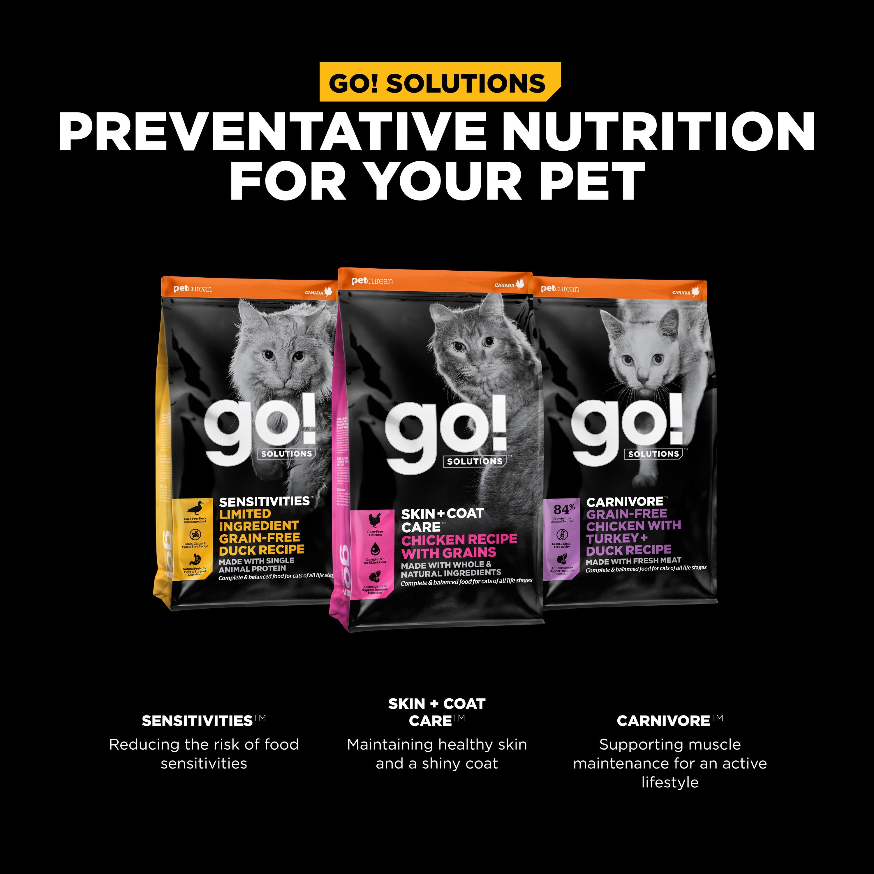 Go! Skin + Coat Care Chicken Recipe With Grains for Cats