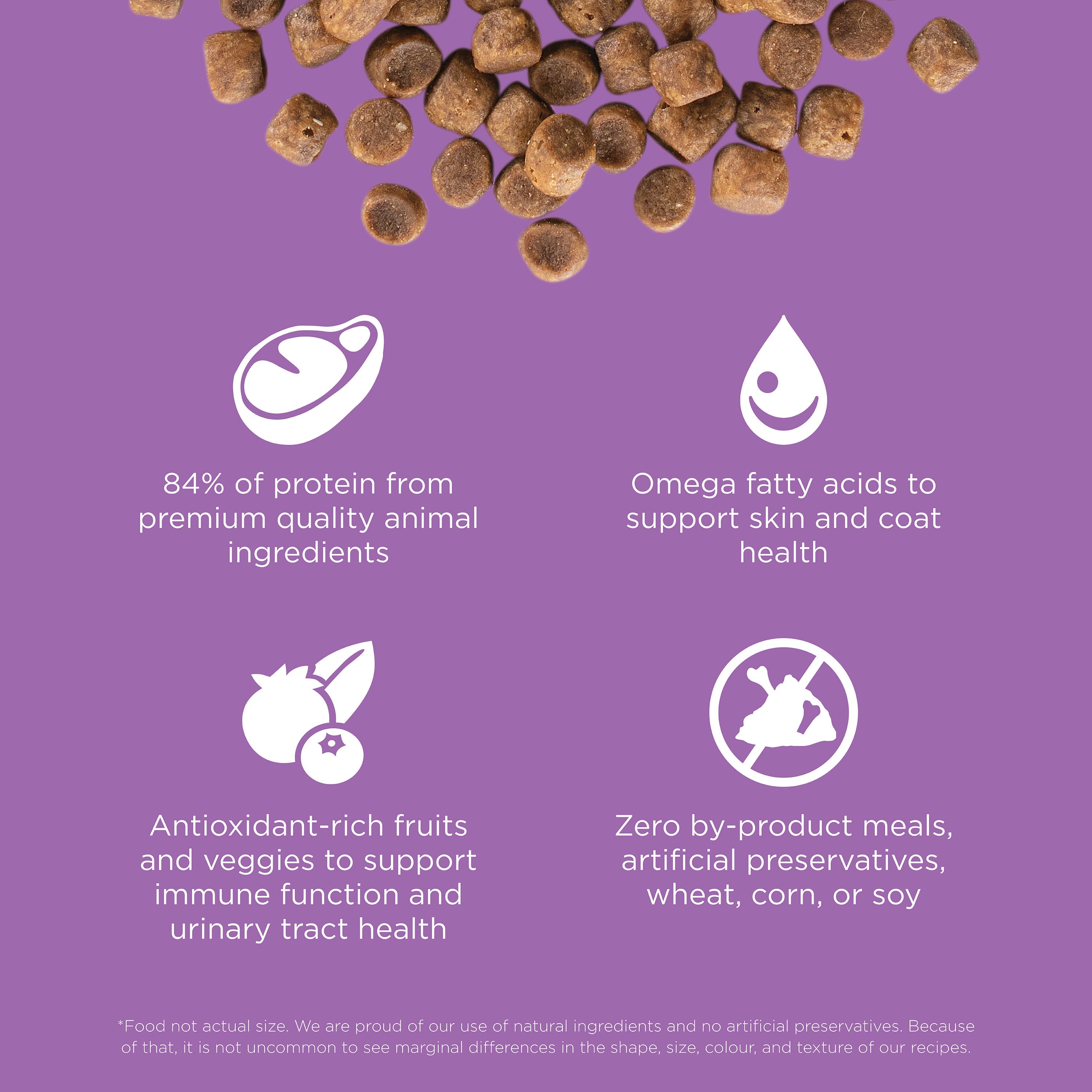 Go! Carnivore Grain Free Chicken, Turkey + Duck Recipe for Cats