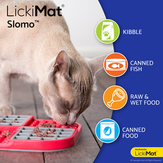 LickiMat Slomo Slow Feeder Cat Food Bowl